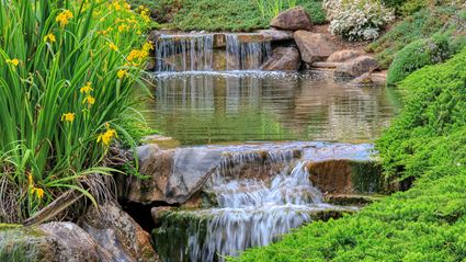 Japanese Garden - Cowra 